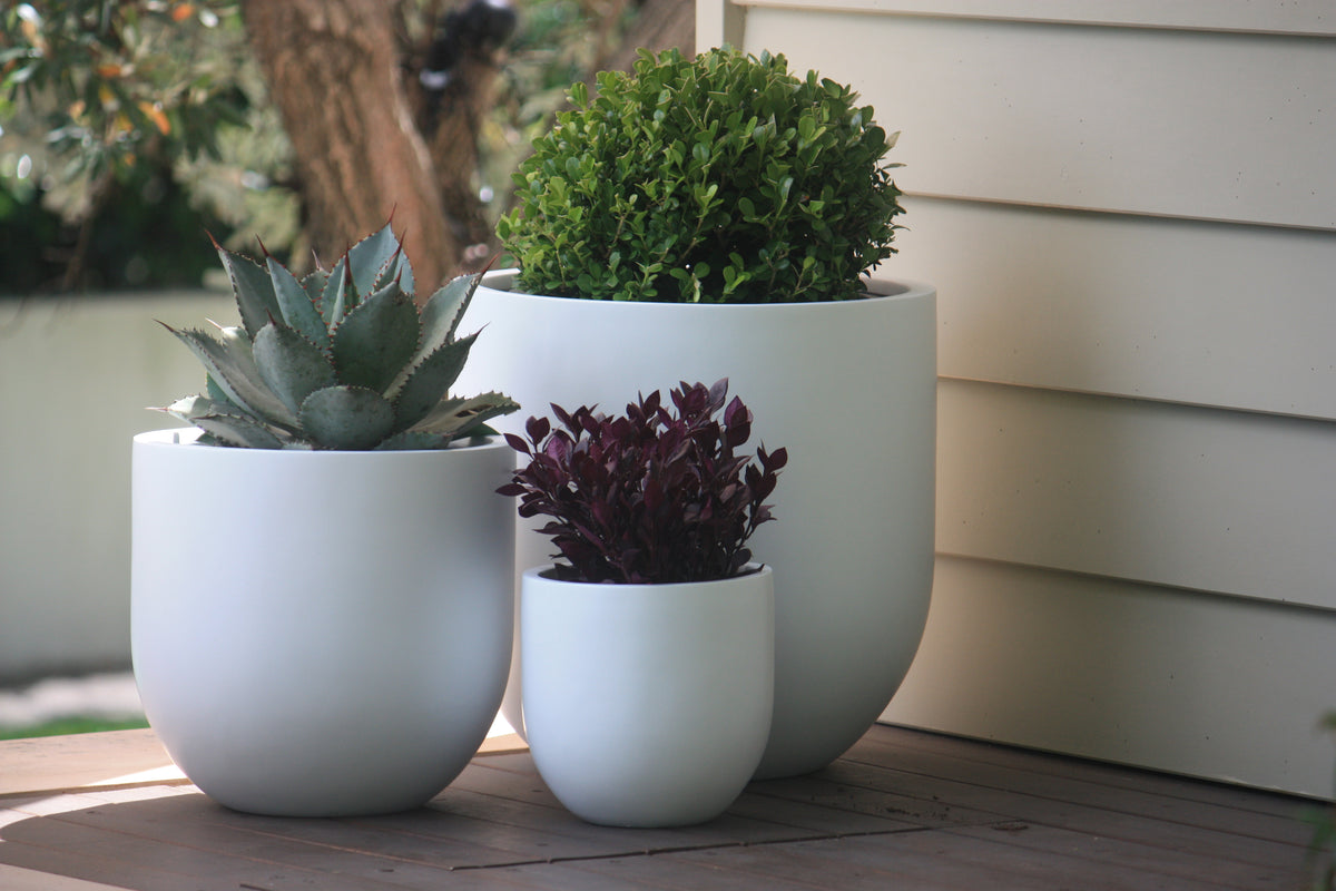 Classic – Project Pots