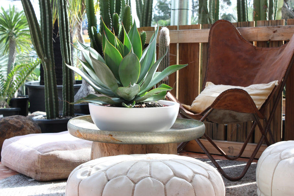 Bowl – Project Pots