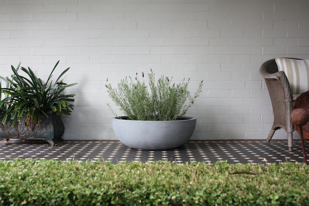 Projects Pots | Designer Pots Delivered – Project Pots